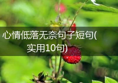 心情低落无奈句子短句(实用10句)