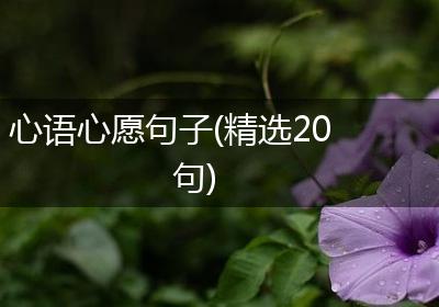 心语心愿句子(精选20句)