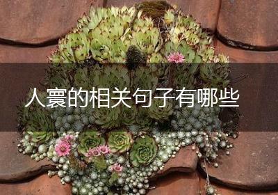 人寰的相关句子有哪些