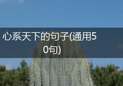心系天下的句子(通用50句)