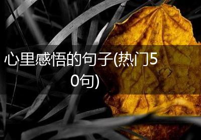 心里感悟的句子(热门50句)