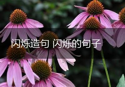 闪烁造句 闪烁的句子
