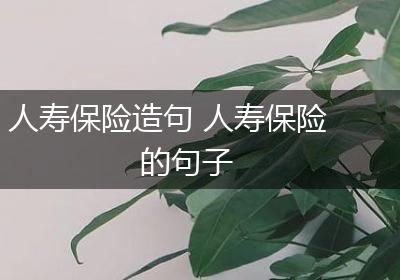 人寿保险造句 人寿保险的句子