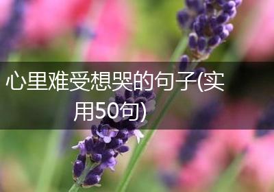 心里难受想哭的句子(实用50句)