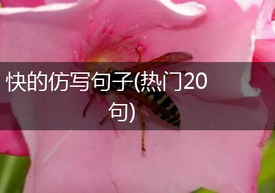 快的仿写句子(热门20句)