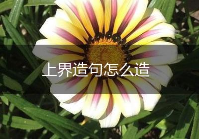 上界造句怎么造