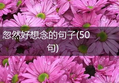忽然好想念的句子(50句)