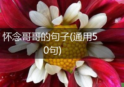 怀念哥哥的句子(通用50句)