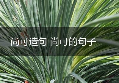 尚可造句 尚可的句子