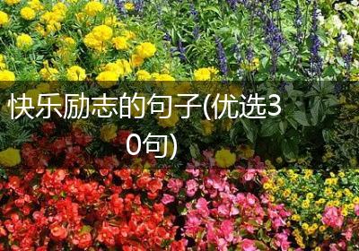 快乐励志的句子(优选30句)