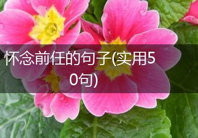 怀念前任的句子(实用50句)
