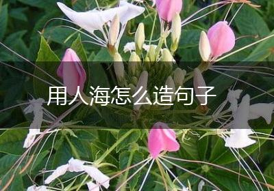 用人海怎么造句子