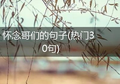 怀念哥们的句子(热门30句)