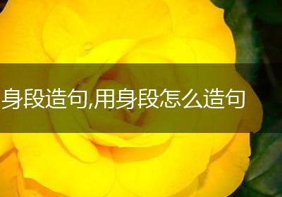 身段造句,用身段怎么造句