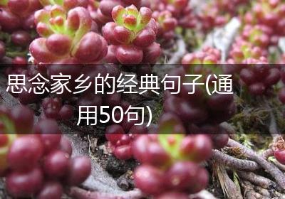思念家乡的经典句子(通用50句)