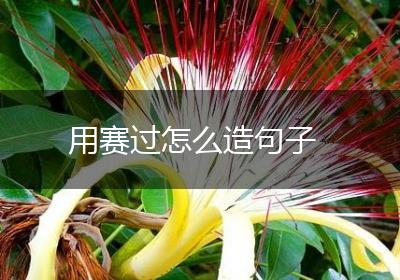 用赛过怎么造句子