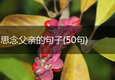 思念父亲的句子(50句)