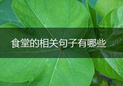 食堂的相关句子有哪些