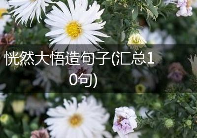 恍然大悟造句子(汇总10句)