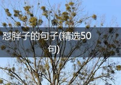 怼胖子的句子(精选50句)