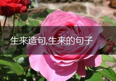 生来造句,生来的句子