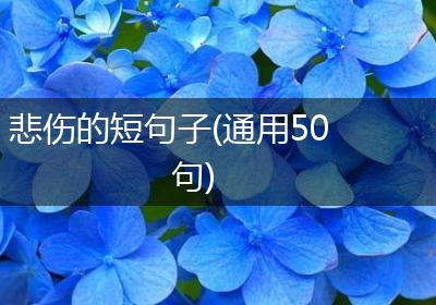 悲伤的短句子(通用50句)