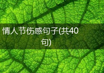 情人节伤感句子(共40句)