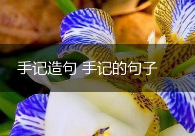 手记造句 手记的句子