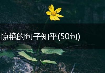 惊艳的句子知乎(50句)