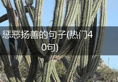 惩恶扬善的句子(热门40句)