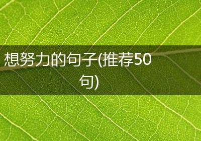 想努力的句子(推荐50句)