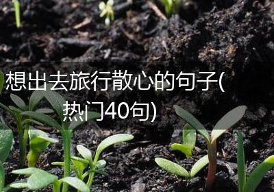 想出去旅行散心的句子(热门40句)
