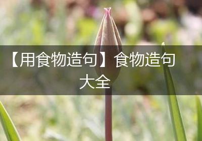 【用食物造句】食物造句大全