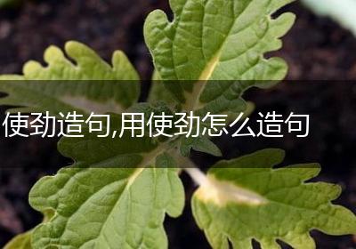 使劲造句,用使劲怎么造句