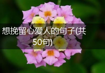想挽留心爱人的句子(共50句)