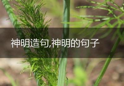 神明造句,神明的句子