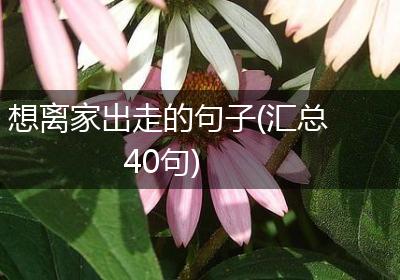 想离家出走的句子(汇总40句)