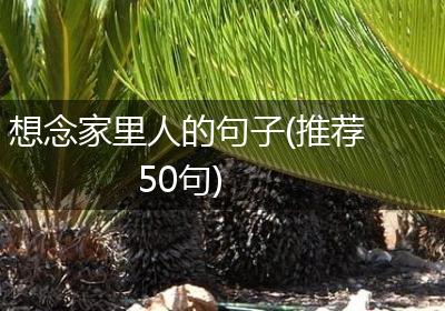 想念家里人的句子(推荐50句)