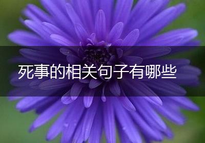死事的相关句子有哪些