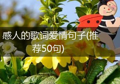 感人的歌词爱情句子(推荐50句)