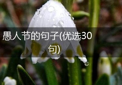 愚人节的句子(优选30句)