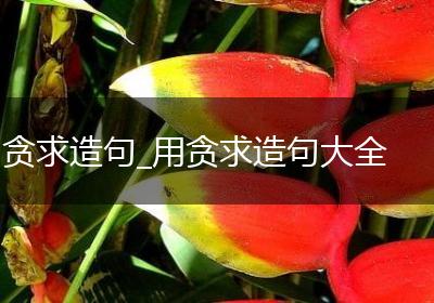 贪求造句_用贪求造句大全