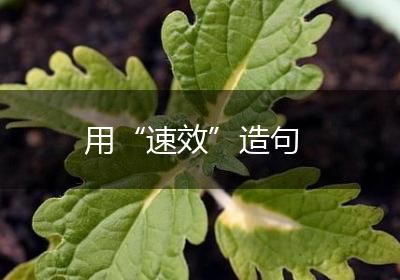 用“速效”造句