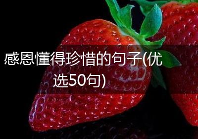 感恩懂得珍惜的句子(优选50句)
