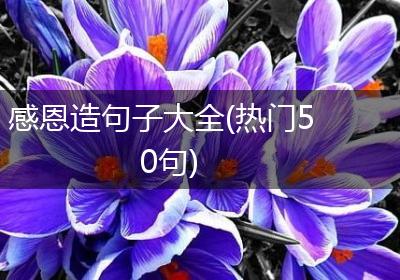 感恩造句子大全(热门50句)