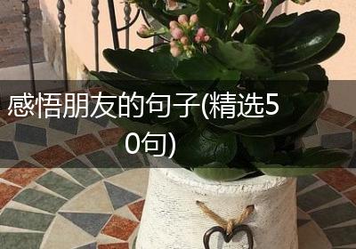 感悟朋友的句子(精选50句)