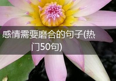感情需要磨合的句子(热门50句)