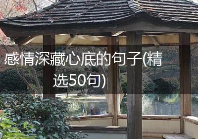 感情深藏心底的句子(精选50句)