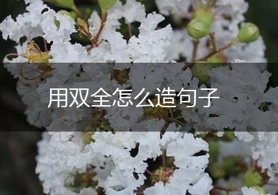 用双全怎么造句子