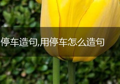 停车造句,用停车怎么造句